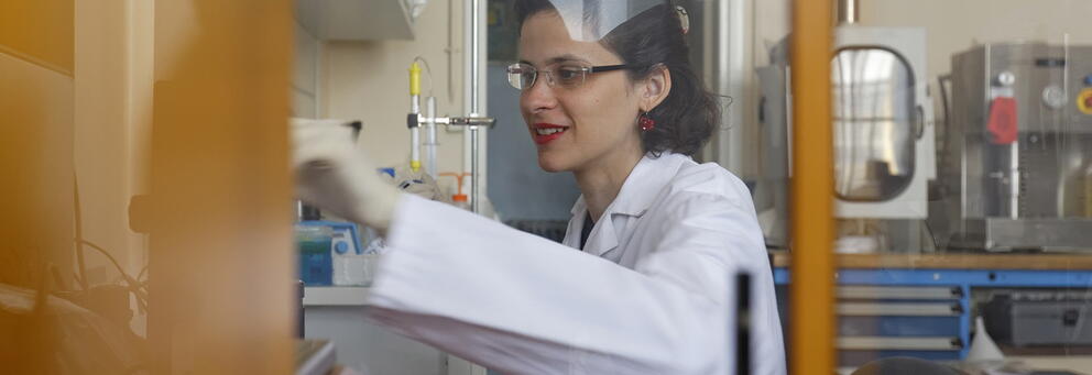 La thèse et l'inscription